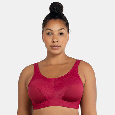 Plus Size Maroon Solid Underwired Non Padded Workout Bra