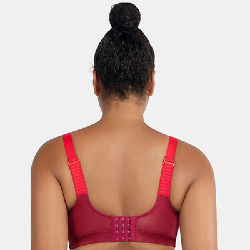 Plus Size Maroon Solid Underwired Non Padded Workout Bra