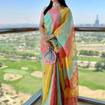 Ethnic Motifs Organza Saree